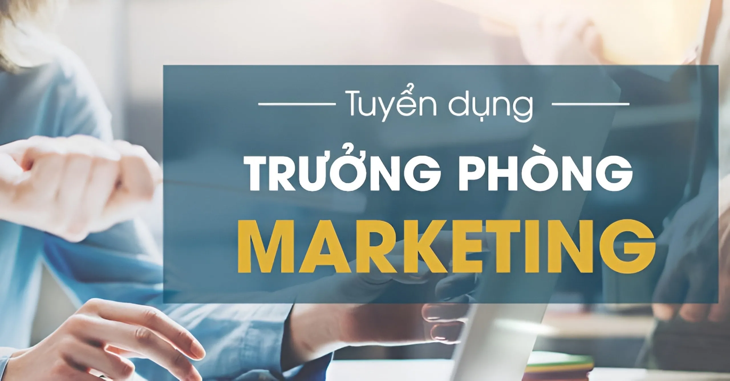 Tuyển dụng trưởng phòng marketing